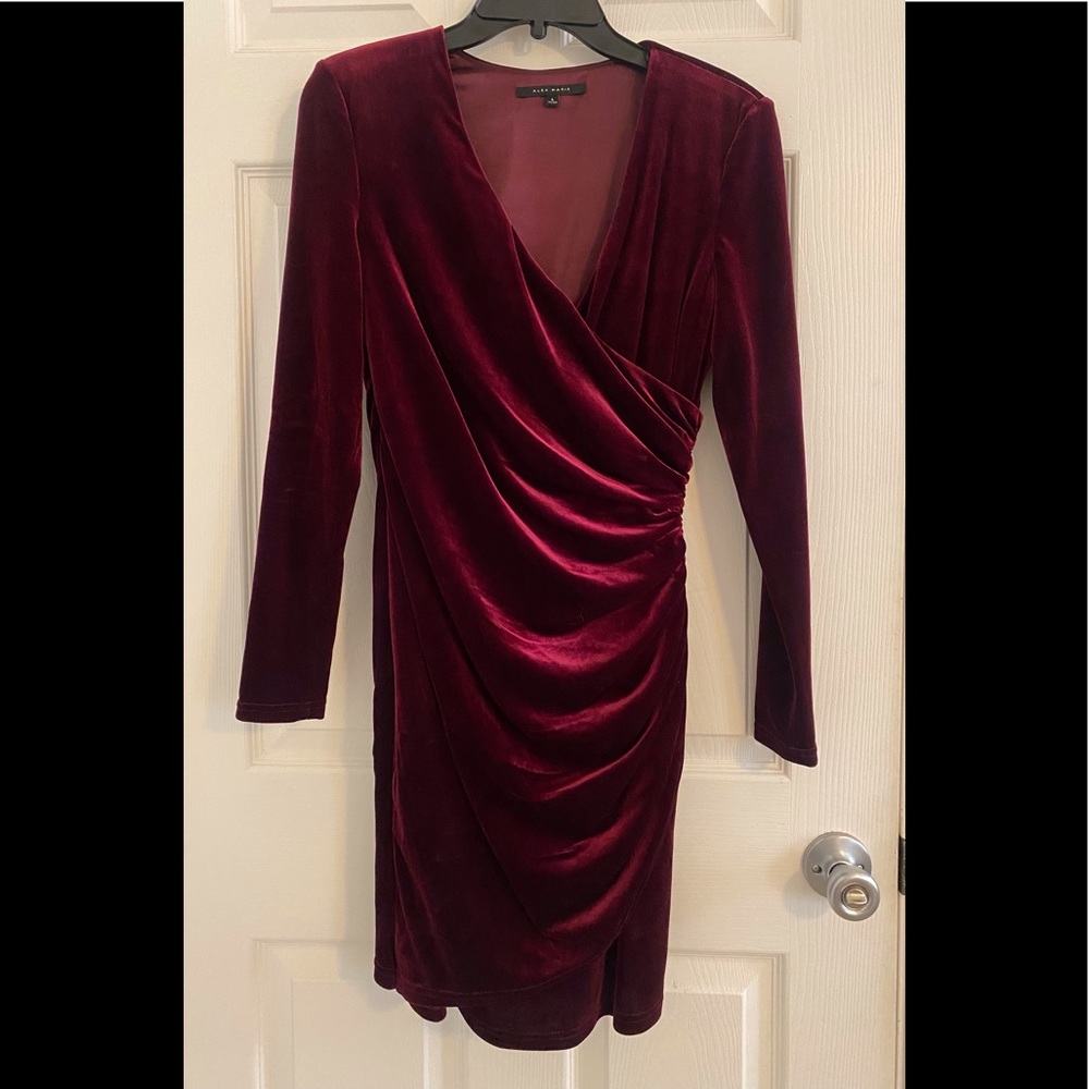 Alex Marie maroon velvet long sleeve mini dress, size 4